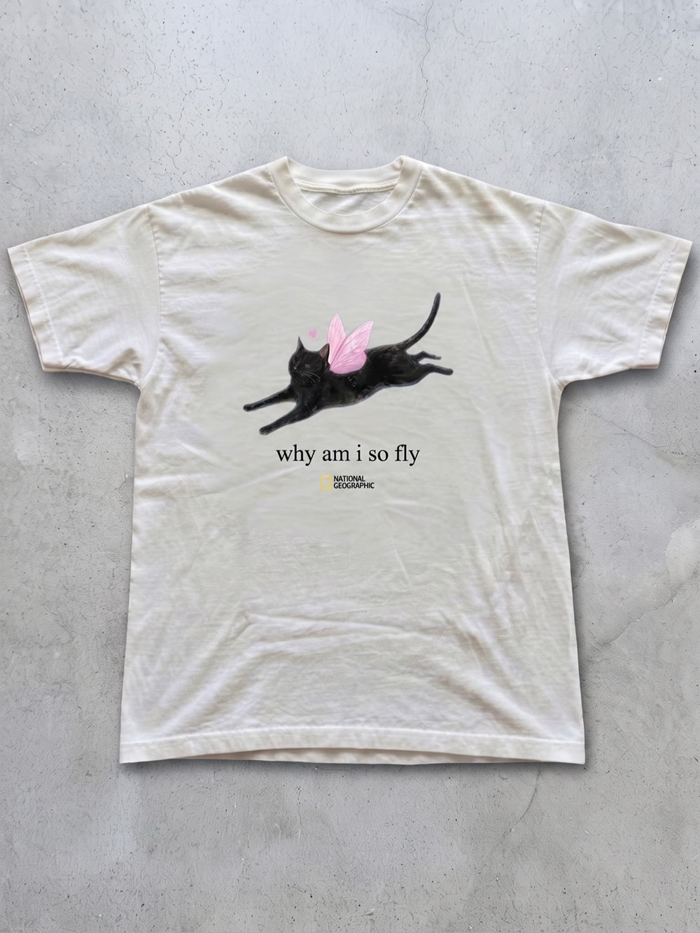 Fairy Black Cat Graphic Tee -
"Why Am I So Fly" Vintage Aesthetic T-Shirt (Gilda